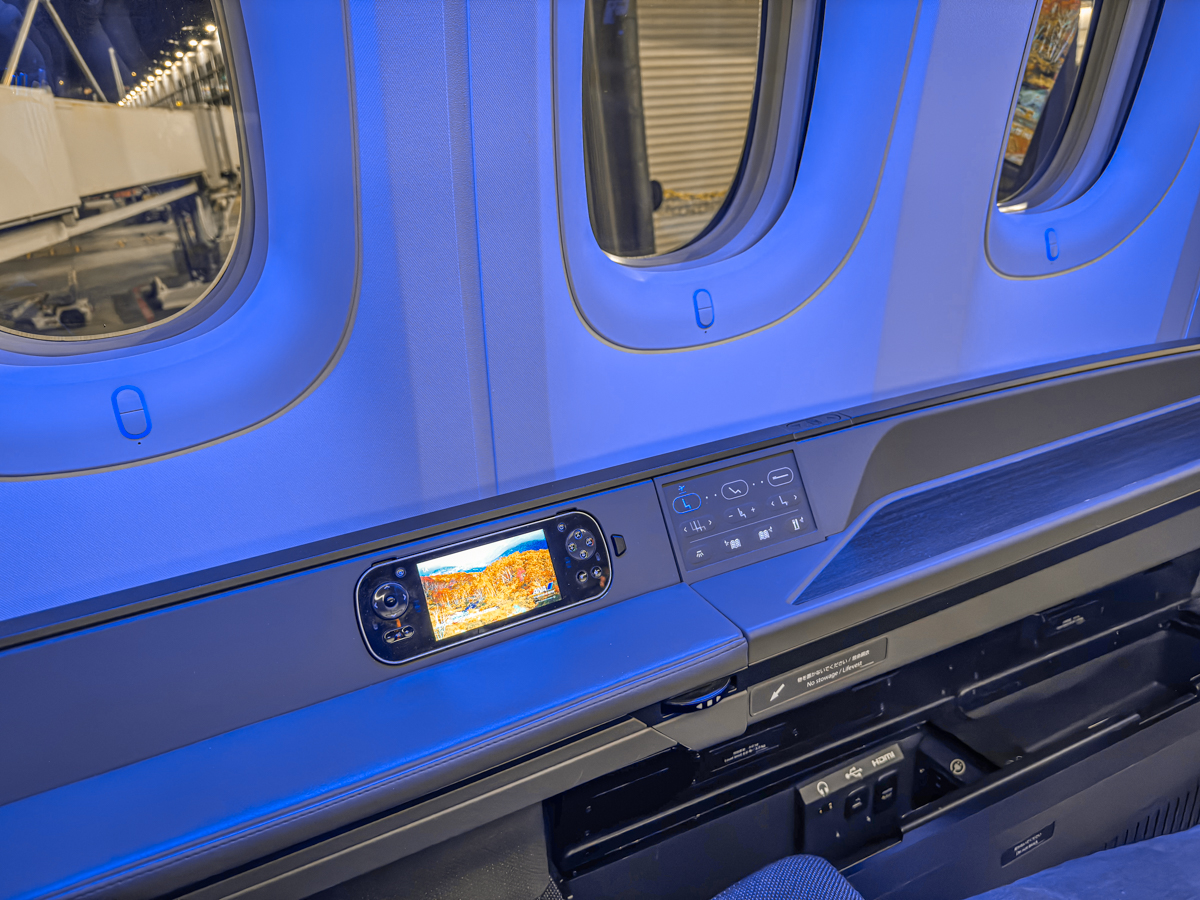 IFE controller and seat adjustment panel.