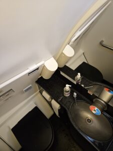 etihad airways a321 business class lavatory