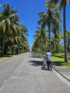 road to boat to park hyatt maldives.