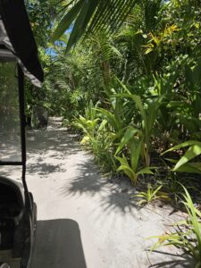 golf cart ride to villa park hyatt maldives