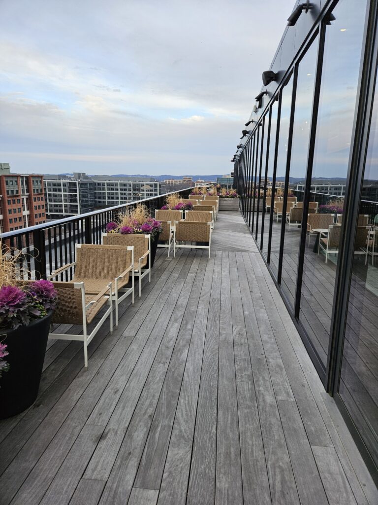 rooftop bar patio washington dc thompson